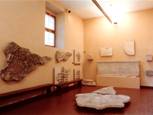 Antiquarium cantianenses